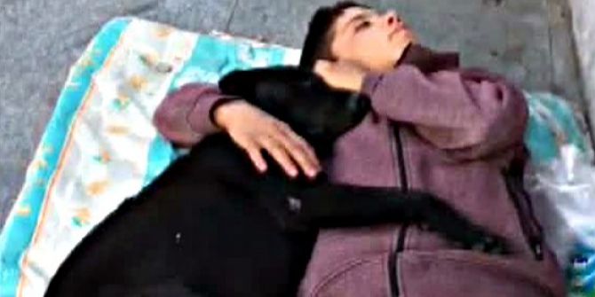 Beşiktaş’ta Köpeğe Sarılarak Uyuyan Çocuk Yürekleri Burktu