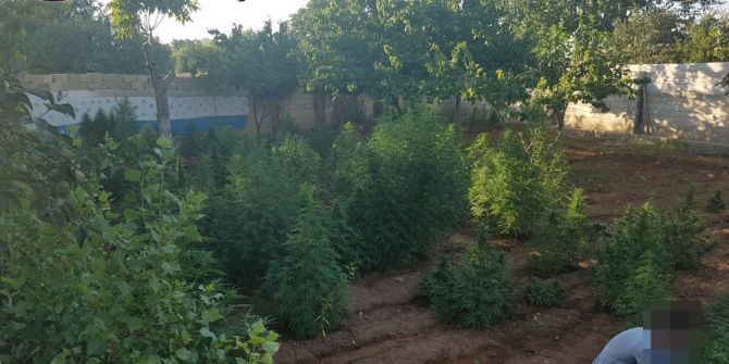 Gaziantep Polisi Uyuşturucu Tacirlerine Göz Açtırmıyor