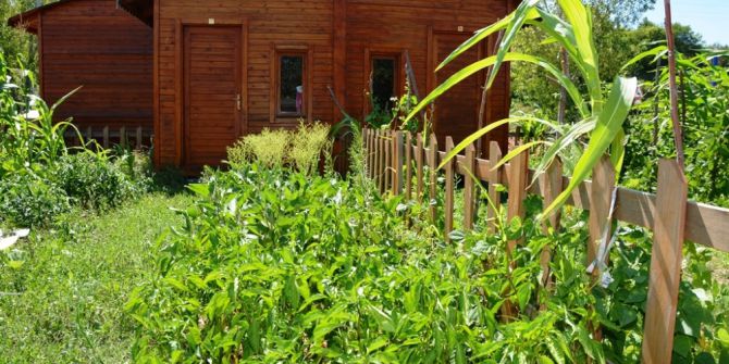 Hobi Bahçeleri Çeşit Çeşit Sebze Meyve İle Dolup Taşıyor