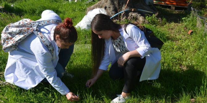 Gençler Doğal Bitkilerle Boyamayı Öğreniyor