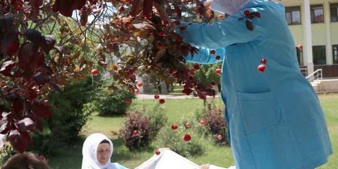 Bolu Belediyesinden Meyve İsrafına Akıllı Çözüm