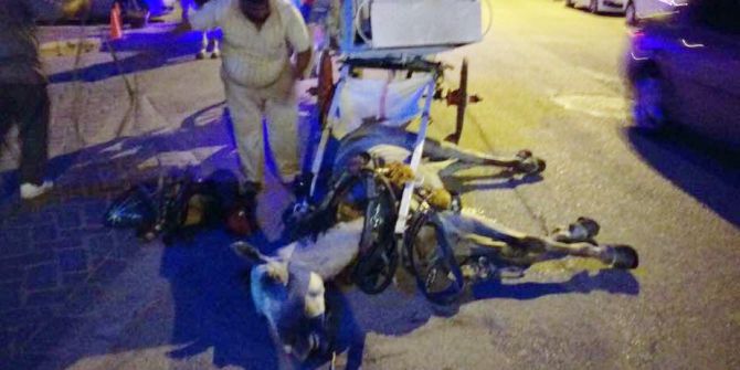 Ölen Atını Bırakıp Kaçan Faytoncunun Çalışma İzni İptal Edildi