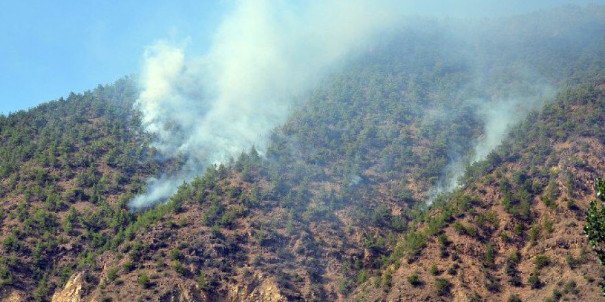 Çorum’da 3 Gün Önce Başlayan Yangın Kontrol Altına Alındı