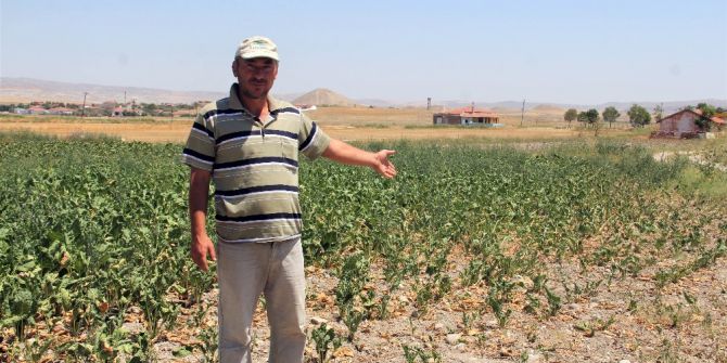 Çiftçileri Sokağa Çağıran Tzob Başkanı’na Çiftçilerden Tokat Gibi Cevap Geldi