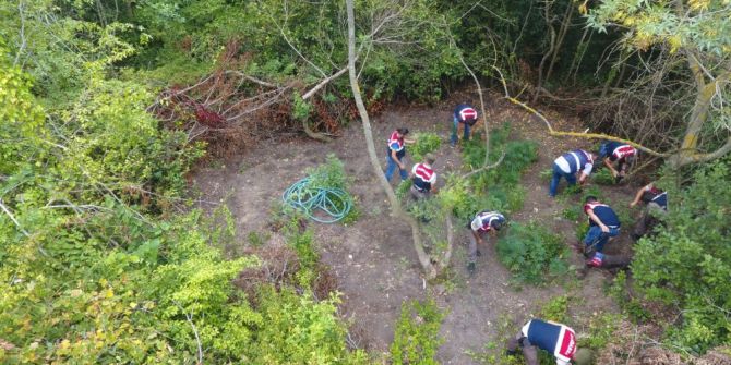 Kenevirleri Sulamak İçin Ormana Hortum Sistemi Çekmiş