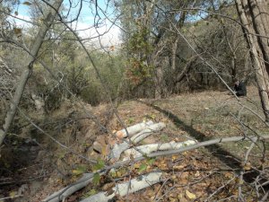 Elazığ Beydalı Köyü