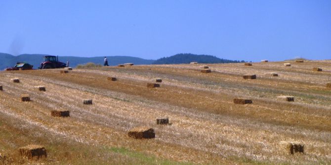 Bilecik’te Saman Üretimi Başladı