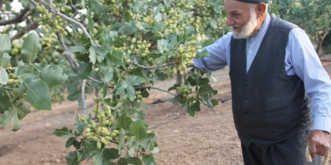 Babasının Bir Sözünü Dinledi, Her Yıl Bir Kilo Altın Alıyor