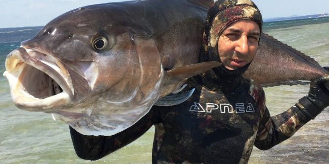 Zıpkınla 68 Kilo Balık Avladı