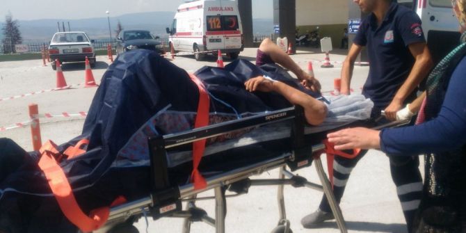 Tavşanlı’da Kurbanlık Boğa Sahibini Yaraladı