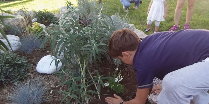Burhaniye’de Engelliler Çiçek Dikimine Öncülük Yaptı