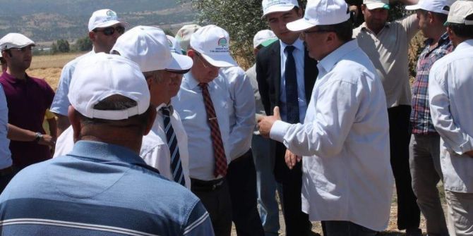 Vali Yardımcısı İnönü’de Hasat Bölgelerini Gezdi