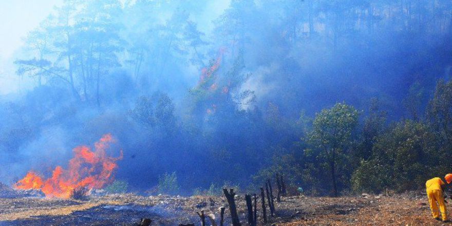 Muğla’daki Orman Yangını Kontrol Altına Alınamıyor