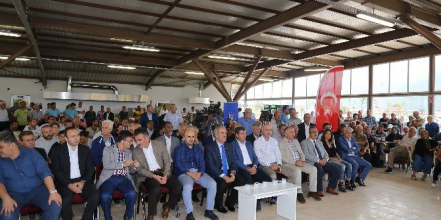 Kumsaz’ın Çehresi Büyükşehir İle Değişiyor