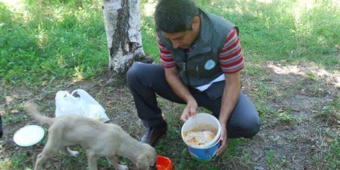 Sokak Hayvanları İçin Parklara Su Ve Yem Kabı Bırakıldı