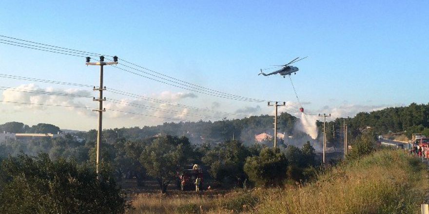 Çanakkale’de Korkutan Yangın