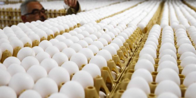 Avrupa’da Milyonlarca Yumurta Raflardan Kaldırıldı