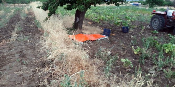 Üzerine Yıldırım Düşen Yaşlı Kadın Öldü