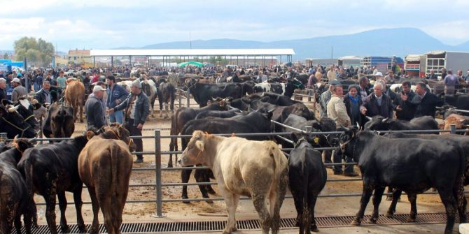 Uçmaklıoğlu: “İthalat Et Fiyatlarını Düşürmüyor”