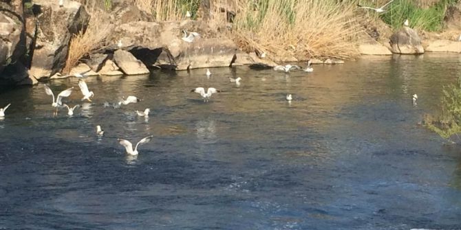 Su Kaynaklarımız Tehdit Altında