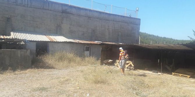 Bayırköy’de Çevre Temizliği Çalışmaları Devam Ediyor