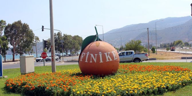 Finike Çiçek Açtı