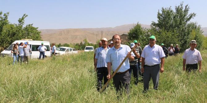 Erzincan’da İlk Kez İtalyan Çimi Alternatif Yem Bitkisi Tarla Günü Düzenlendi