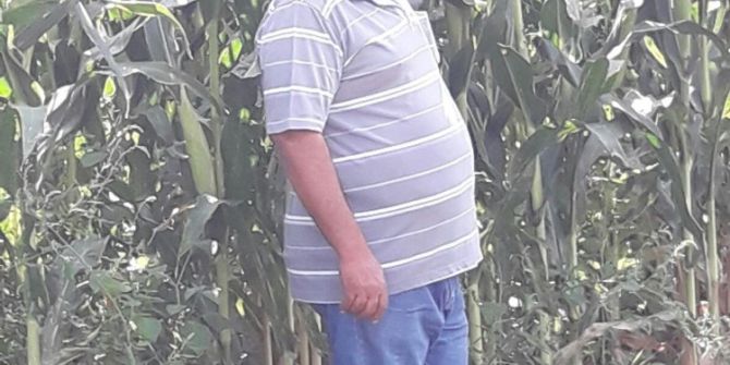 Burhaniye’de Silajlık Mısırda Verimli Yıl Yaşandı