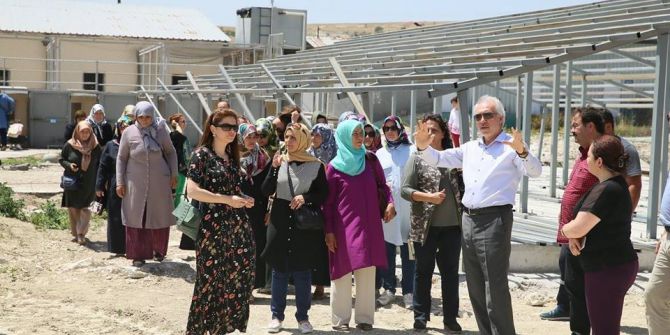 Bölgenin En Büyük Sokak Hayvanları Bakımevi Ve Rehabilitasyon Merkezi Kütahya’da