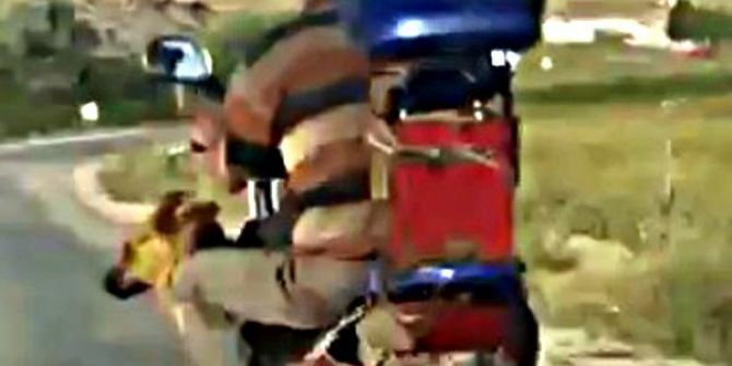 Motosiklette Köpek İle Tehlikeli Yolculuk