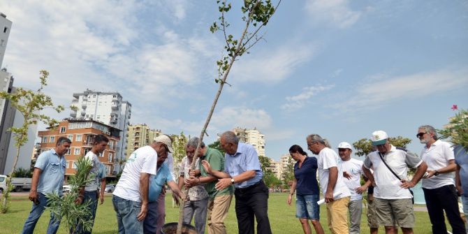 Atom Bombasına Direnen Ağaç Antalya’da Kök Salacak