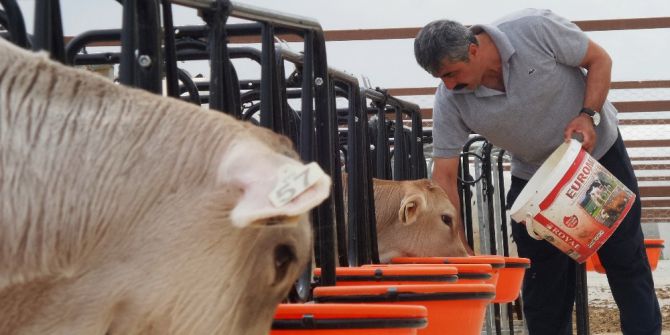 Çiftçi Eğitim Merkezi’nde Hem Eğitim Hem Üretim