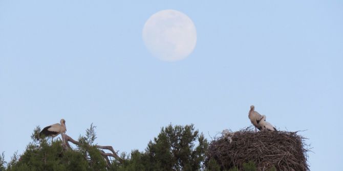 Leylekler Vadisi’nde Dolunay Manzarası