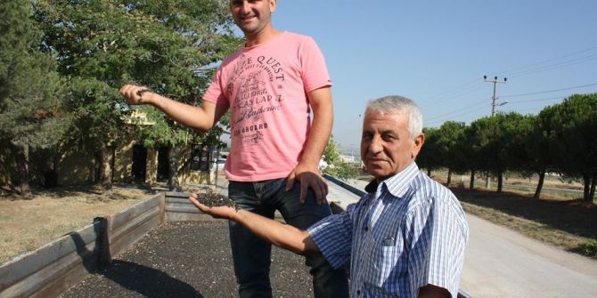 Keşan’da Yılın İlk Ayçiçeği 2 Liradan Satıldı