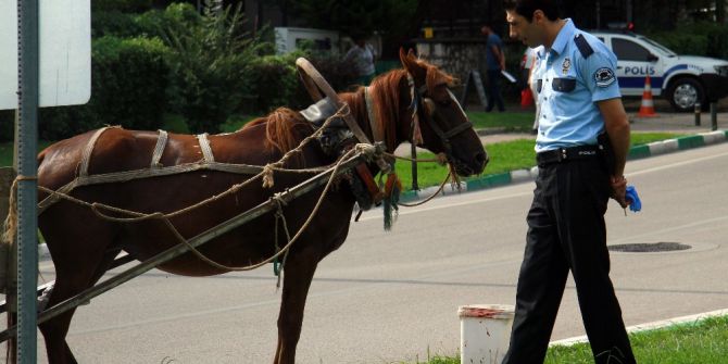 At Arabası İle Ekip Otosuna Çarptı