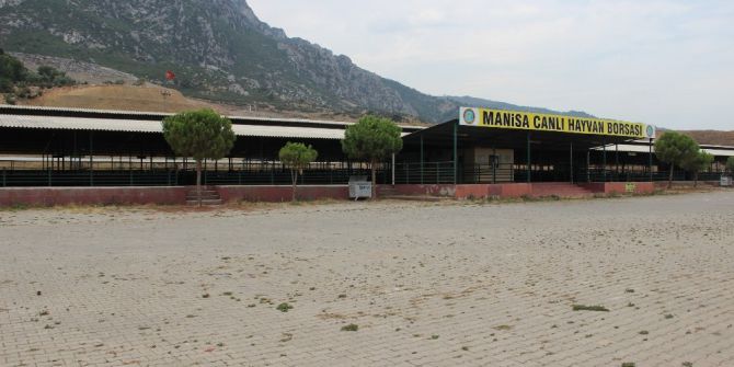 Manisa’da Kurban Pazarı 10 Gün Sonra Açılacak