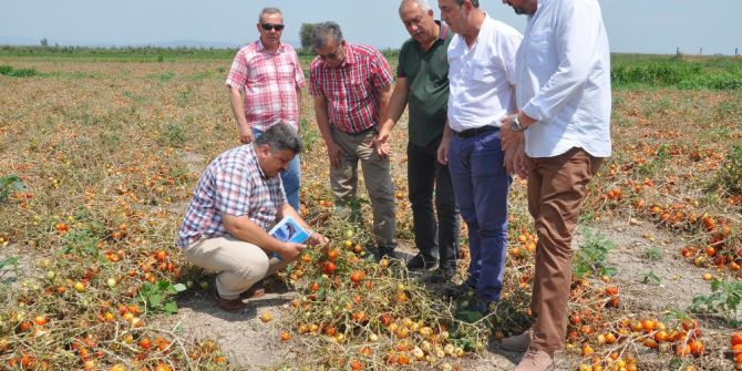Tarım Komisyonu Dolu Zararını İnceledi