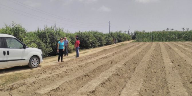 Mersin’in Çilek Üretiminde Sloganı ‘Temiz Fide, Temiz Toprak’