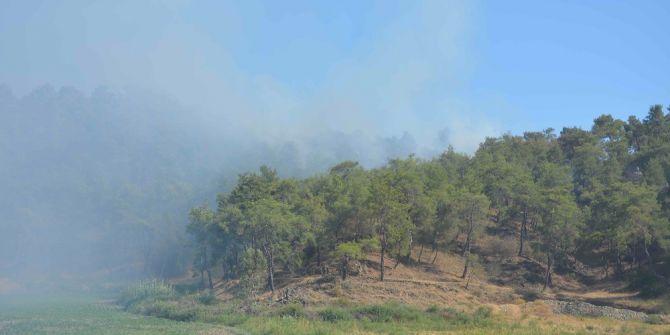 Köyceğiz’de orman yangını