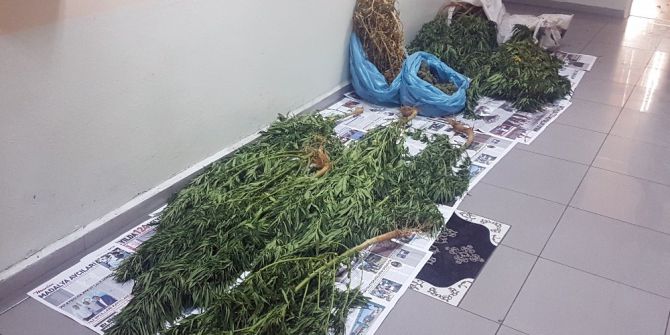 Uyuşturucu operasyonunda 1 kişi tutuklandı