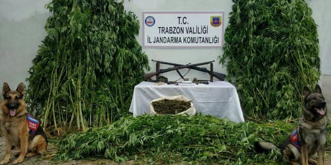 Uyuşturucu baskınında tarihi eser ele geçirildi