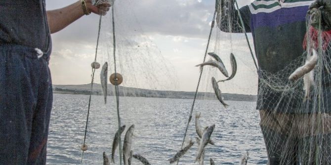 Van Gölü balıkçıları inci kefali avına başladı