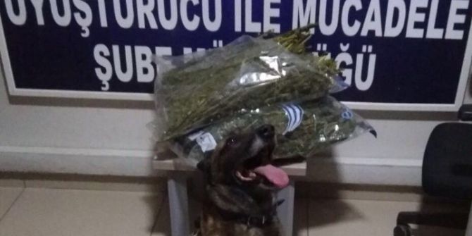 Durdurulan otomobilde 5 kilogram esrar bulundu