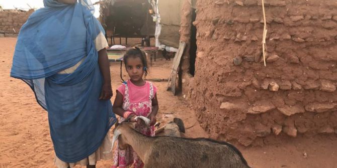 İhlas Vakfından Sudan’da yetimlere keçiler ile süt desteği