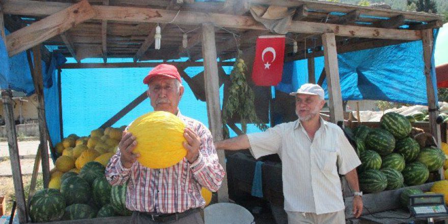 Osmaneli’nde Yerli Karpuz Ve Kavun Satışları Çiftçinin Yüzünü Güldürdü