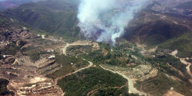 Hatay’da orman yangını