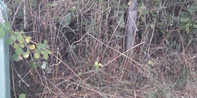 Arsa meselesi yüzünden çıkan kavgada kan aktı: 1 ölü