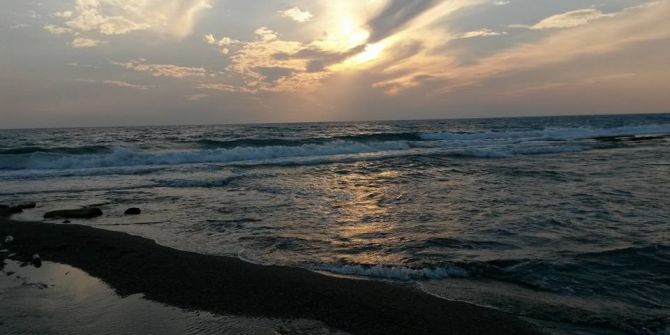 Balık avlamak için daldı, vurgun yedi