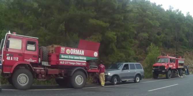 Marmaris’te yıldırım  düşmesi sonucu çıkan  yangın söndürüldü