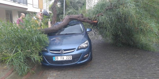Yağmur ve fırtına sonrası Aydın manzaraları